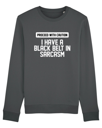 PROCEED WITH CAUTION I HAVE A  BLACK BELT IN SARCASM Anthracite