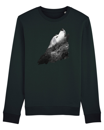 Wolf howling Black
