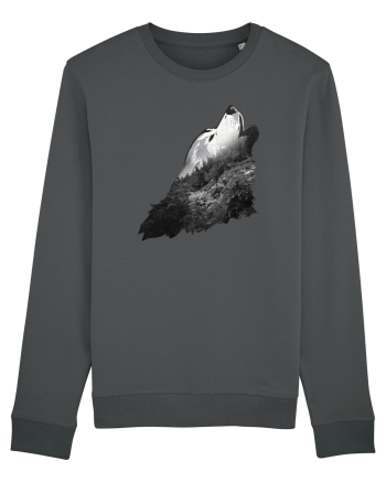 Wolf howling Anthracite