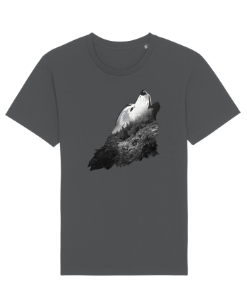 Wolf howling Anthracite