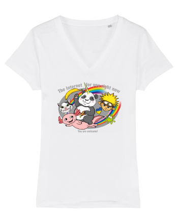 Internet 1 White