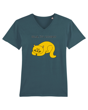 Relax, it's CATurday Stargazer