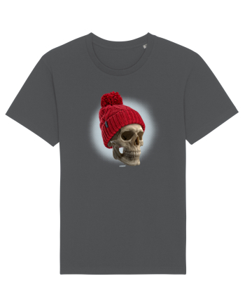 Craniu cu caciulă - skullbeanie 02-91 Anthracite