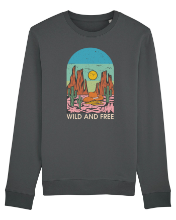 Wild And Free Anthracite