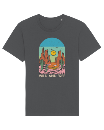 Wild And Free Anthracite