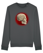 Craniu cu creier - skullbrain Bluză mânecă lungă Unisex Rise