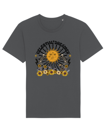 Celestial Dreamer Anthracite