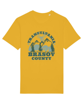 Transylvania Brasov County Spectra Yellow