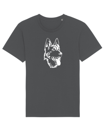 Dog lover Anthracite