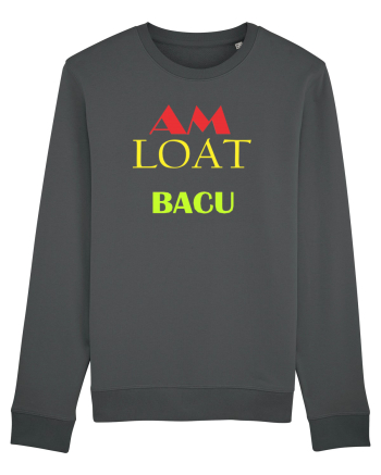 Bacalaureat Anthracite