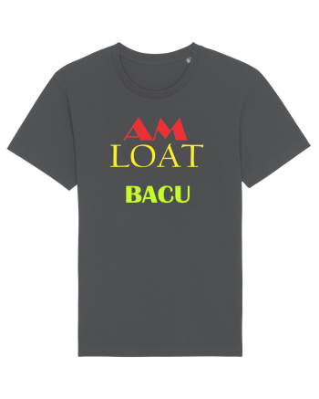 Bacalaureat Anthracite