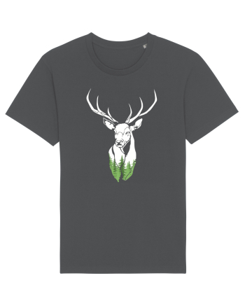 Wild life Anthracite