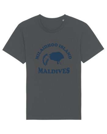 Milaidhoo Island Maldives Anthracite