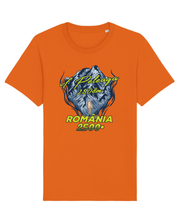 Pentru montaniarzi - Man vs mountain - Peleaga Bright Orange