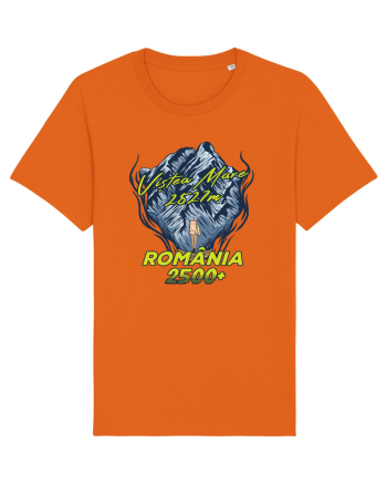 Pentru montaniarzi - Man vs mountain - Viștea Mare Bright Orange
