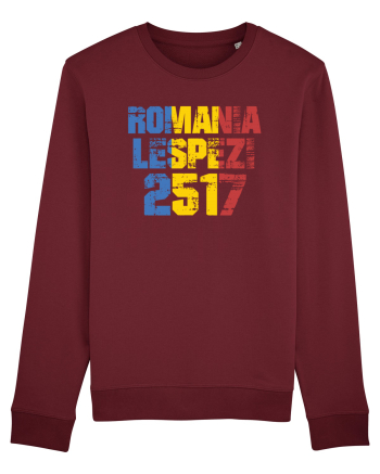Pentru montaniarzi - Romania 2500 - Lespezi Burgundy