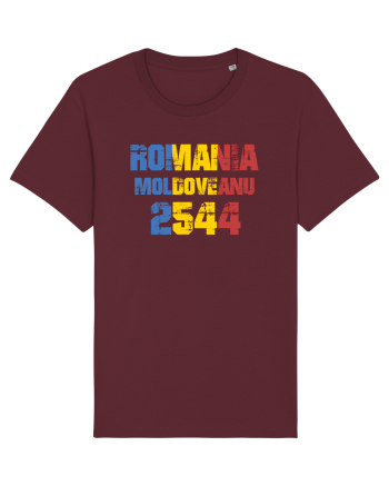 Pentru montaniarzi - Romania 2500 - Moldoveanu Burgundy