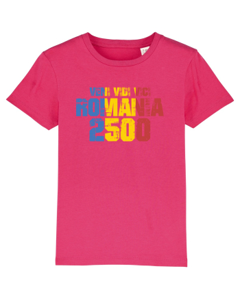 Pentru montaniarzi - Romania 2500 - Veni vidi vici Raspberry
