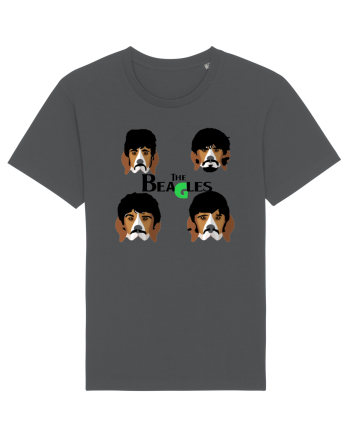 The Beagles Anthracite