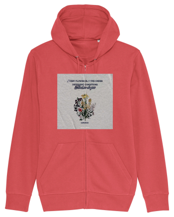 Every flower blooms under different conditions Carmine Red
