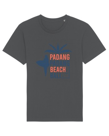 Padang Padang Beach Bali Anthracite