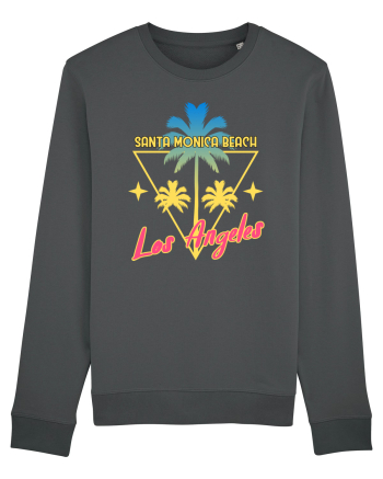 Santa Monica Beach Los Angeles Anthracite