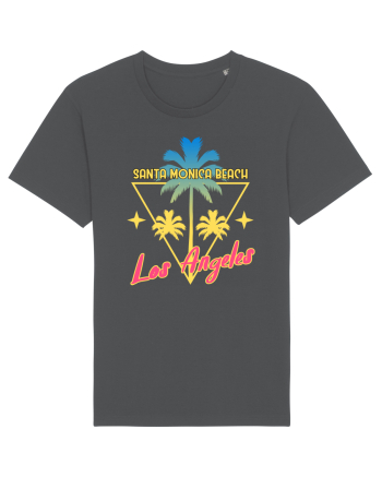 Santa Monica Beach Los Angeles Anthracite