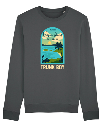 Virgin Island Caribbean Anthracite
