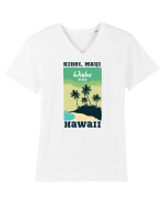 Wailea Beach Hawaii Tricou mânecă scurtă guler V Bărbat Presenter