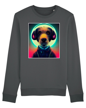 cute dog dj Anthracite