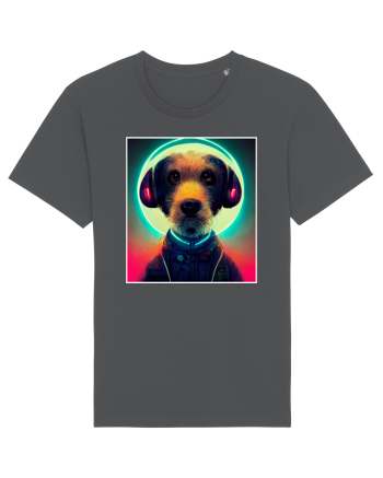 cute dog dj Anthracite