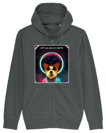 dogs universe Anthracite