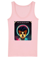 dogs universe Maiou Damă Dreamer