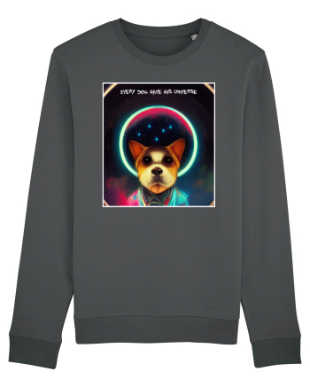 dogs universe Anthracite