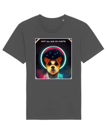 dogs universe Anthracite