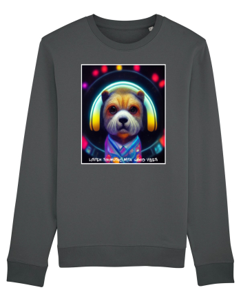 disco dog Anthracite