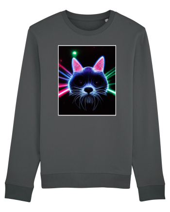 disco cat Anthracite