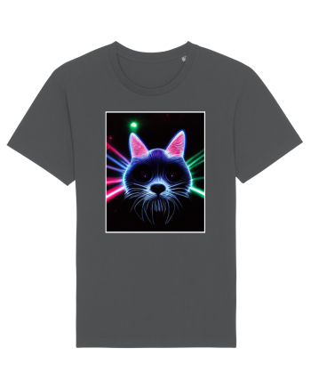 disco cat Anthracite