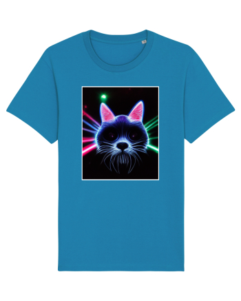 disco cat Azur