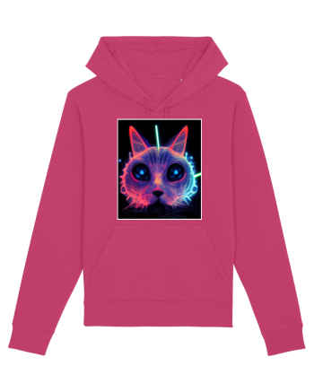 electro cat Raspberry