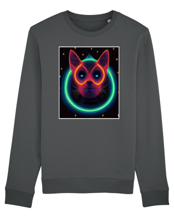 disco cat Anthracite