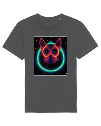 disco cat Anthracite