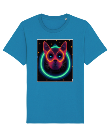 disco cat Azur