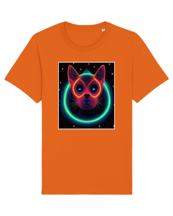 disco cat Bright Orange