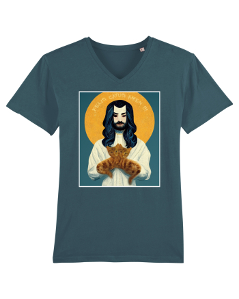 jesus cu pisici Stargazer