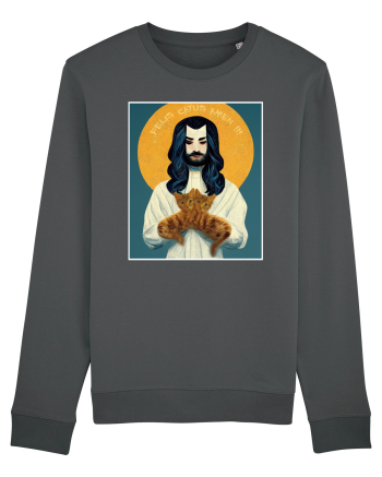 jesus cu pisici Anthracite