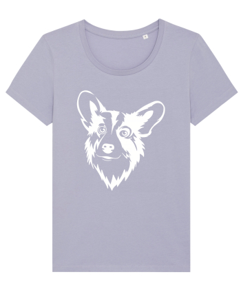 Corgi  Lavender