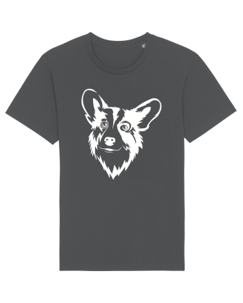 Corgi  Anthracite