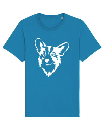 Corgi  Azur