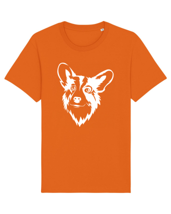 Corgi  Bright Orange